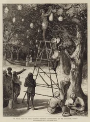 The Royal Visit to India, Natives Preparing Illuminations on the Esplanade, Bombay
